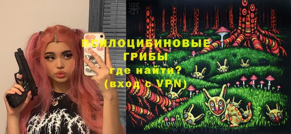 стафф Каменск-Шахтинский