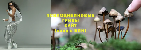 mdpv Иннополис