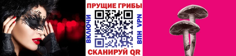 Купить где  Ейск  Галлюциногенные грибы мицелий 